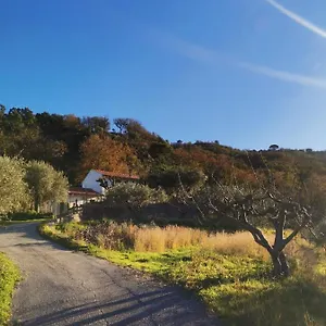 A Casa Di Natalia Castell'Umberto